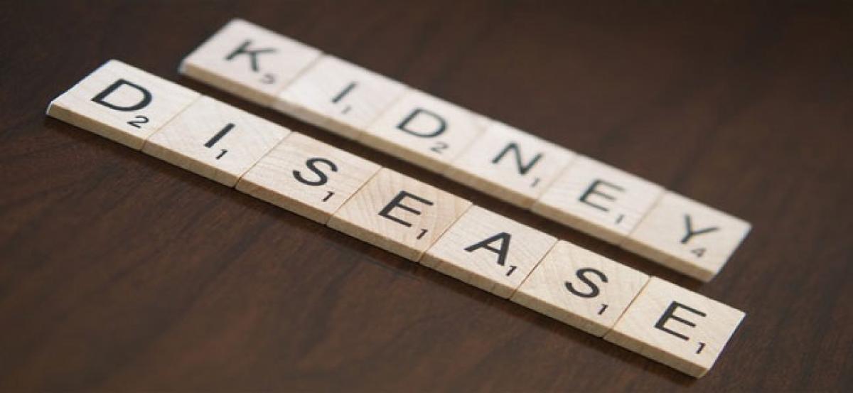 Risk stages for children with chronic kidney disease uncovered