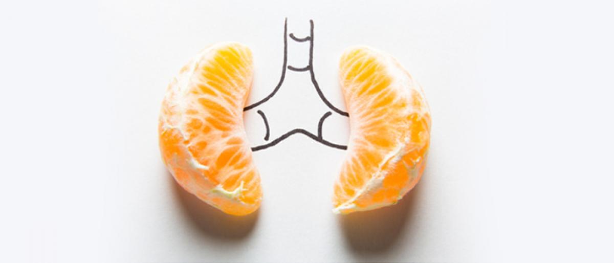 8 Things You Should Know About Your Kidneys