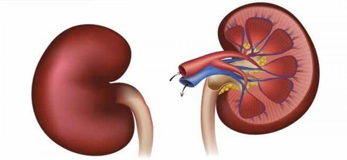 Kidney disease claims six lives in Krishna district