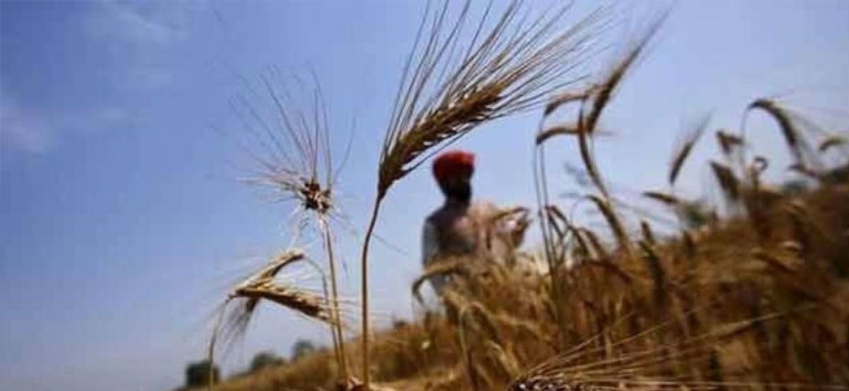 Uttar Pradesh farmers clash with Haryana counterparts over harvesting of crop; one killed