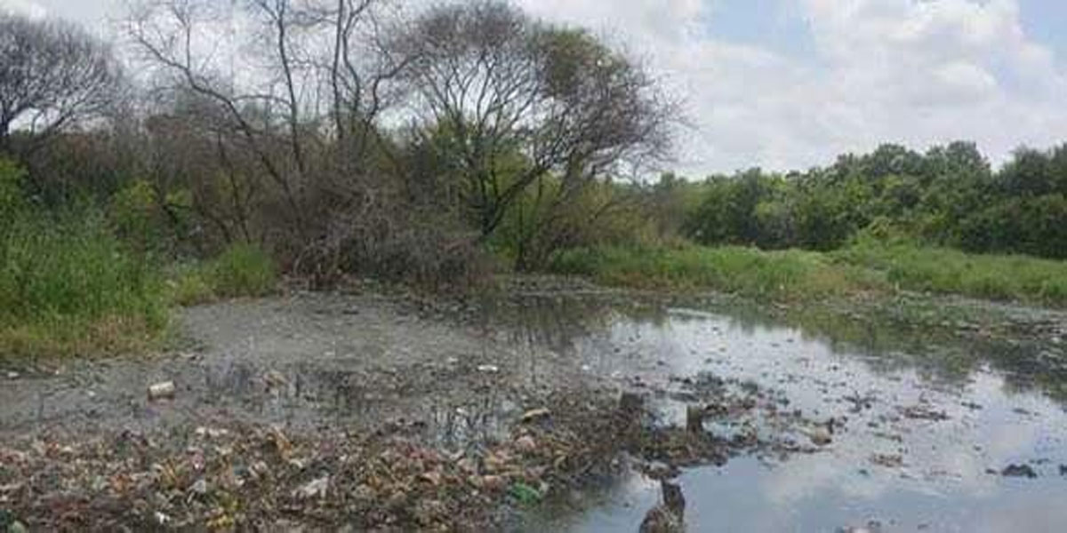 Secunderabad Cantonment Board not keen to revive lake in Trimulgherry
