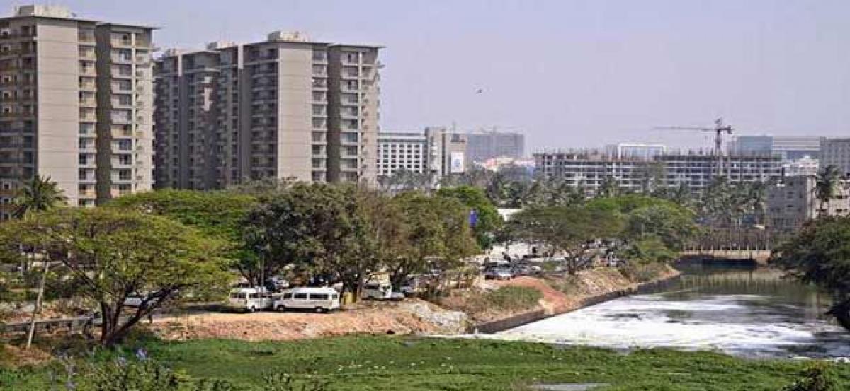 A state of fear: Bellandur Lakebed dries up