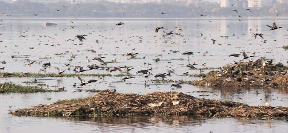 Global firms approached to purge stink from Hussainsagar lake