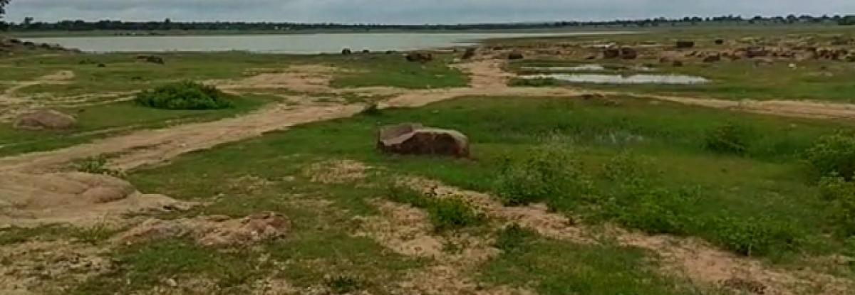 Lakes remain dry despite rains in Palamauru district