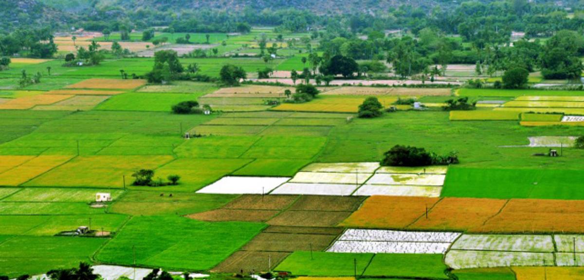 AP Govt mulls mandal-level panels to resolve land grievances