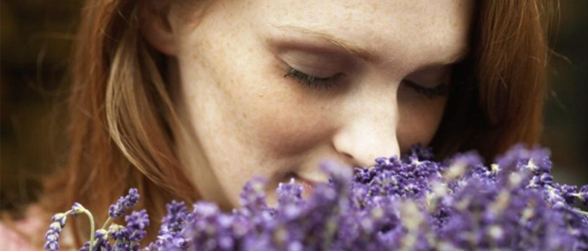 Decoded: How smell of lavender helps you unwind