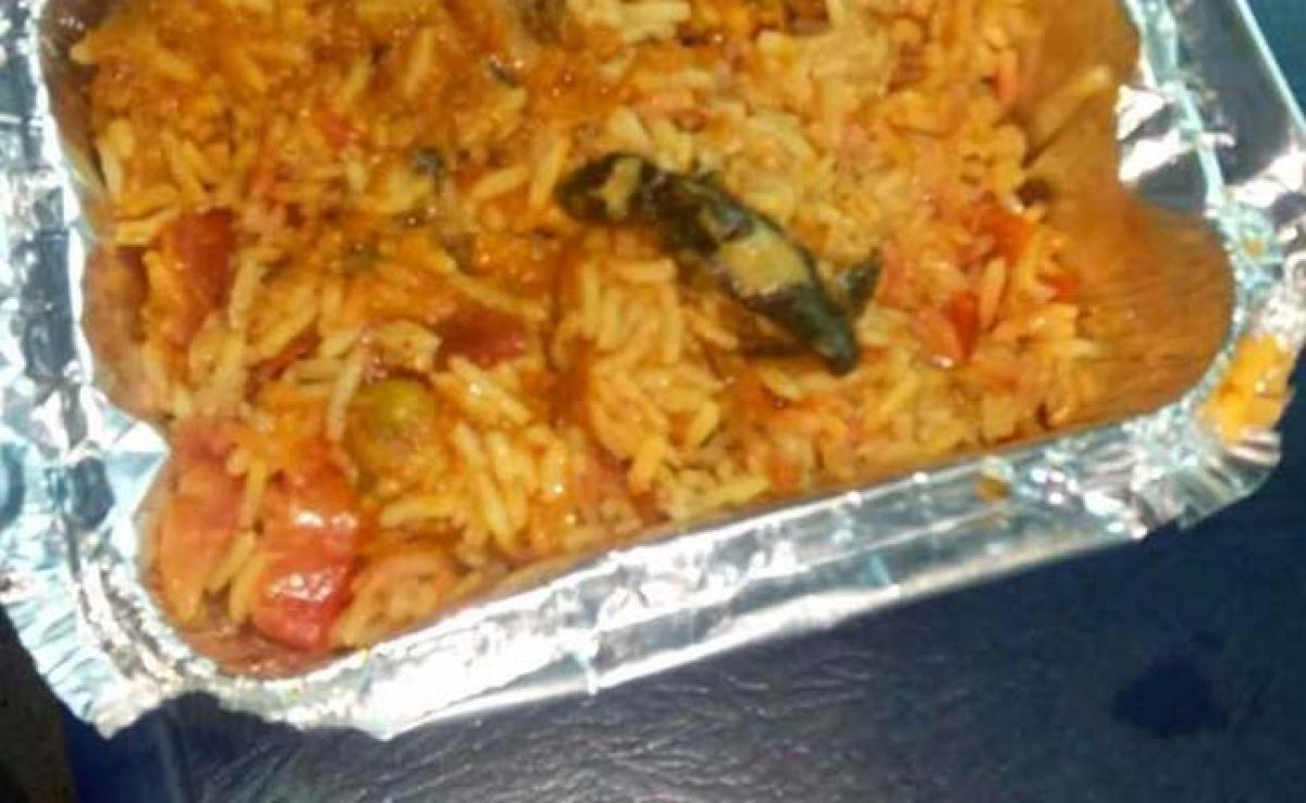 Dead Lizard In Veg Biryani Served On Purva Express Train