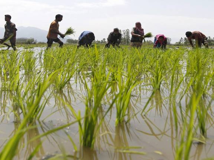 The farm loan waiver scheme almost across the finish line