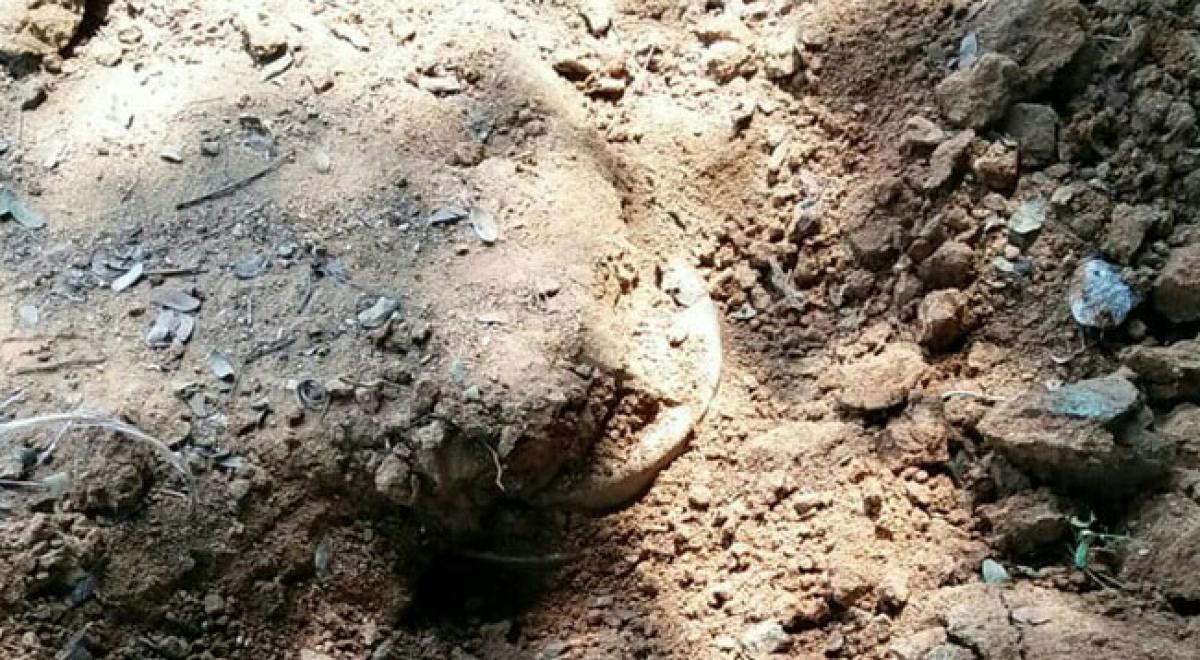 Police foil Maoist attack, defuse IEDs buried under road 