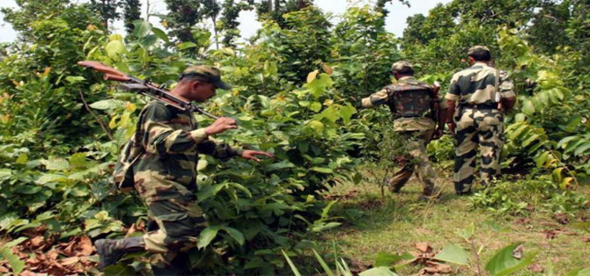 Maoist killed in encounter