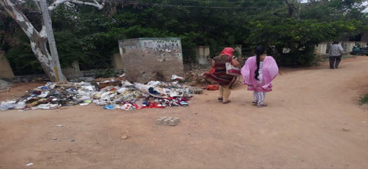 Roadside garbage creates foul smell for residents of East Anandbagh