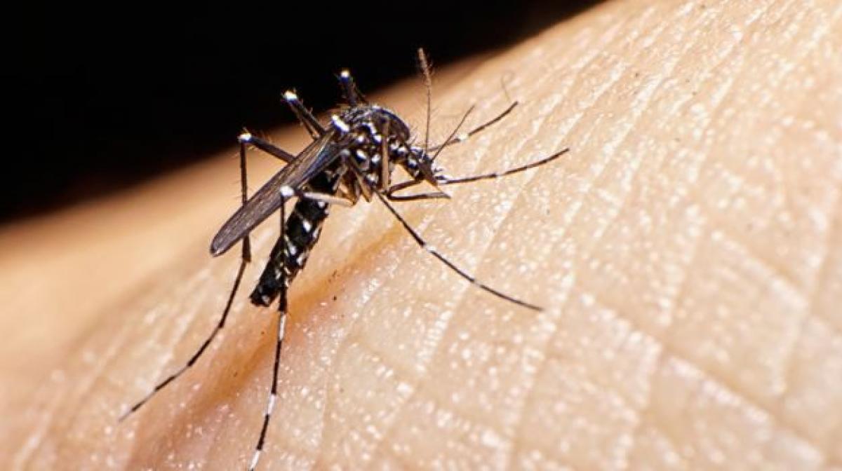 New kit may detect malaria in secs, for just Rs 10