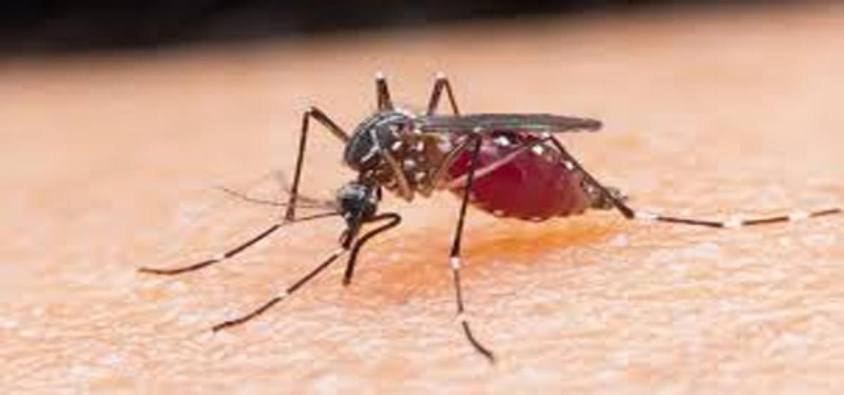 Now malaria, a notifiable disease