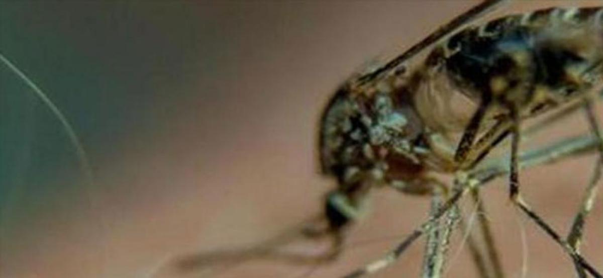 Malaria treatment, scientists have decoded how parasites invade our cells