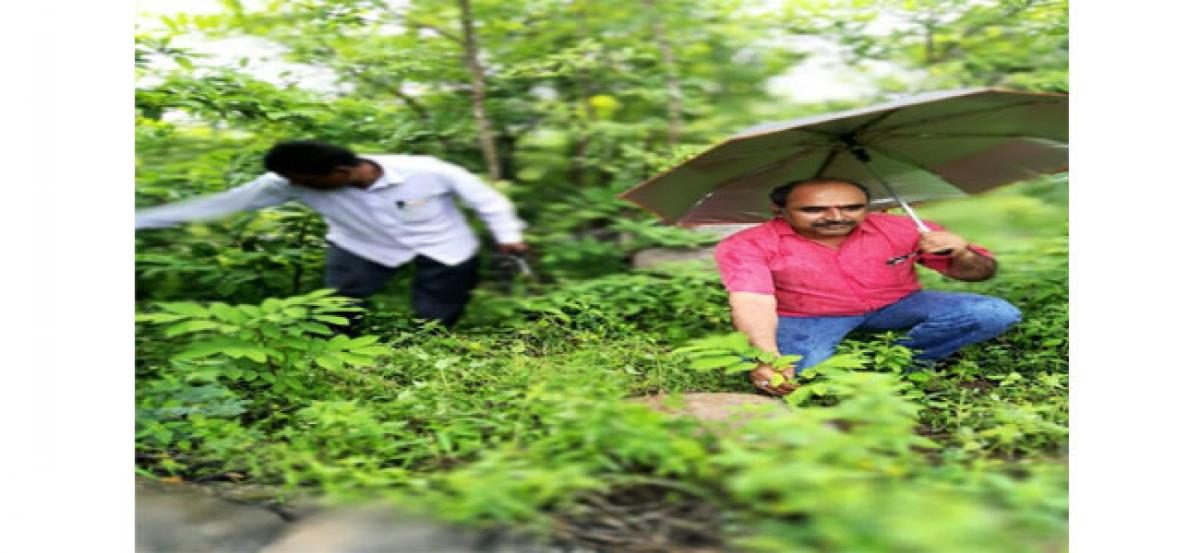 MPDO inspects lands irrigated under farm ponds