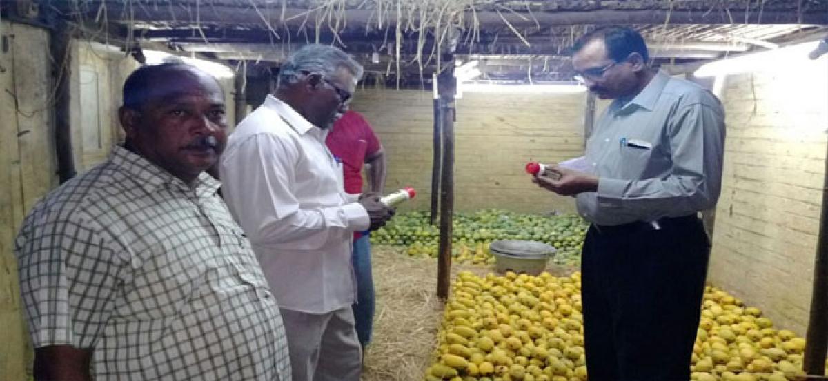 200 boxes of mangoes, chemicals seized