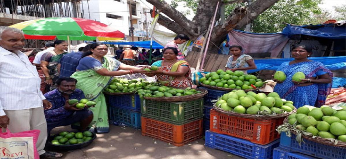 Kushaiguda brims with raw mangoes