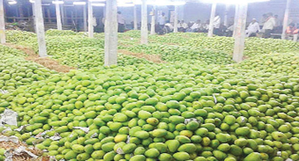 AP State plans to enhance mango exports on a large scale