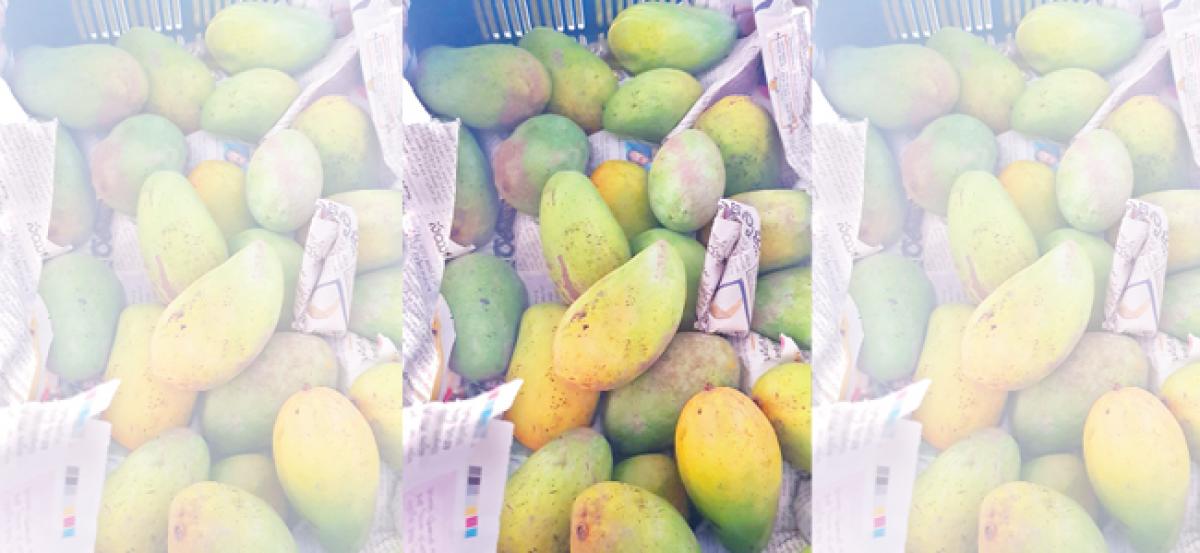 Carbide being used for mangoes ripening