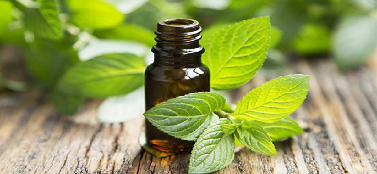 Mentha oil rise 2.40 pc on pick-up in demand