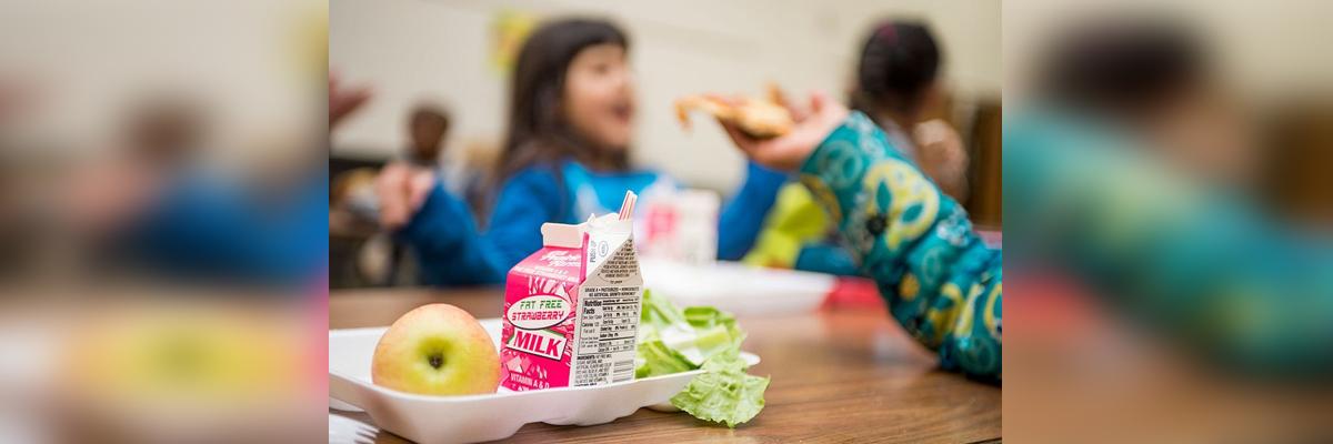 School-based nutritional programmes can help cut obesity in kids