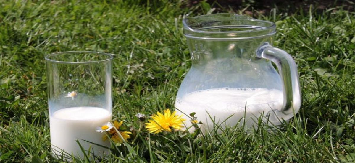 Drinking ‘grassmilk’ may boost heart health