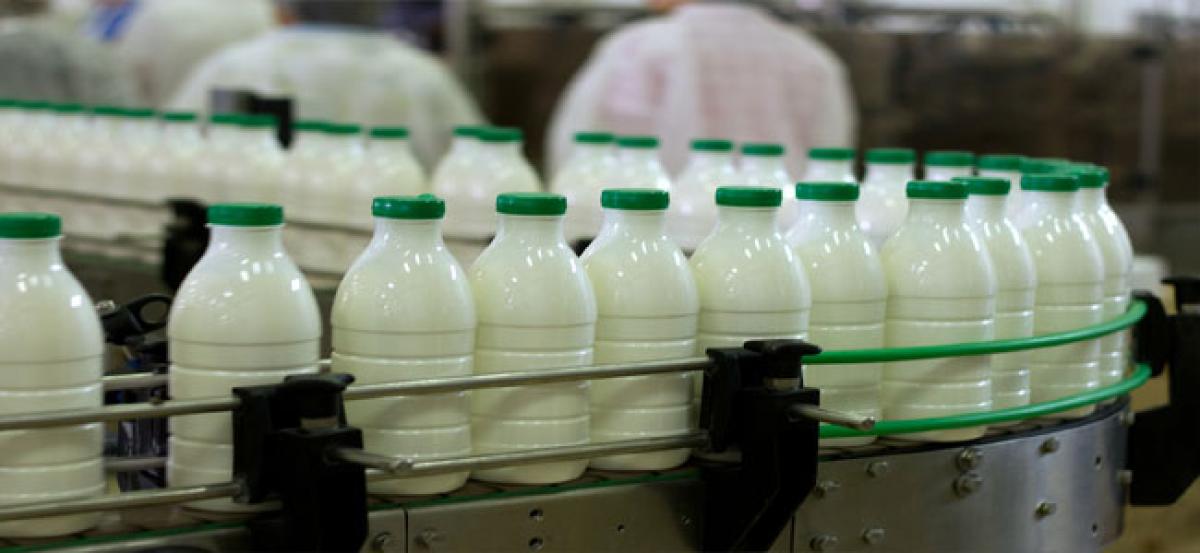 Milk production shoots up in  Andhra Pradesh