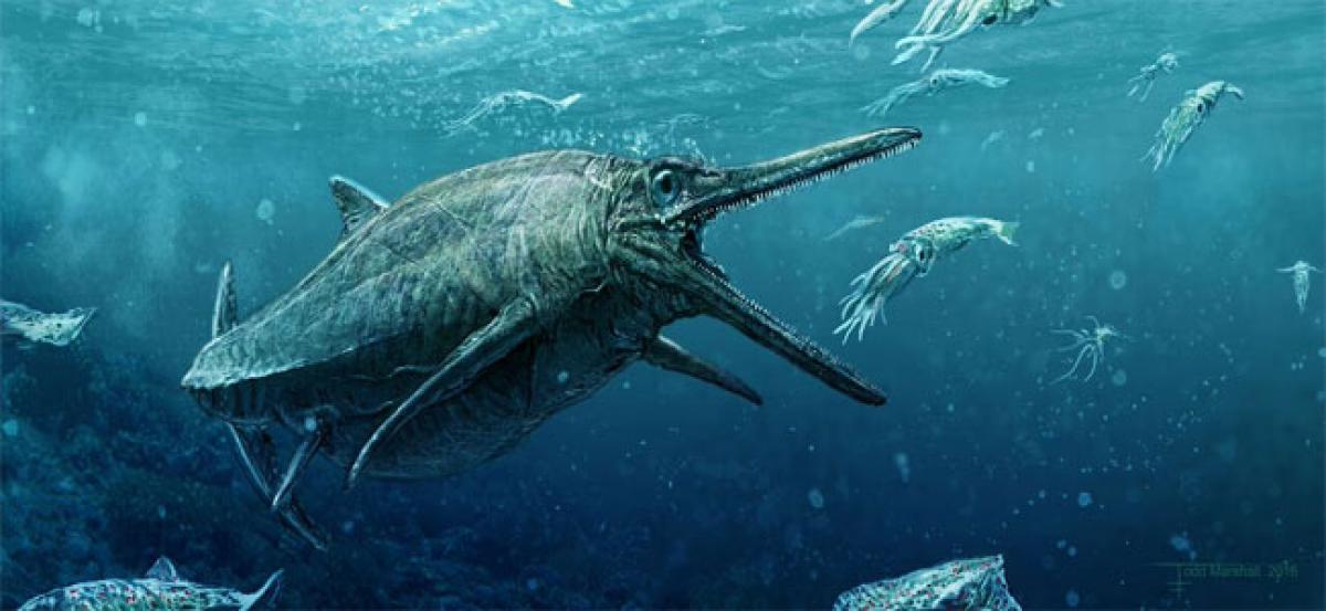 190 million-year-old sea monster identified