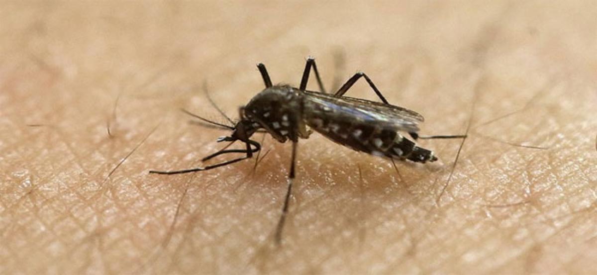 Opposition MLAs urge govt to control malaria in Agency