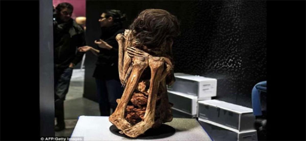 1,000-year-old mummy unearthed in Peru