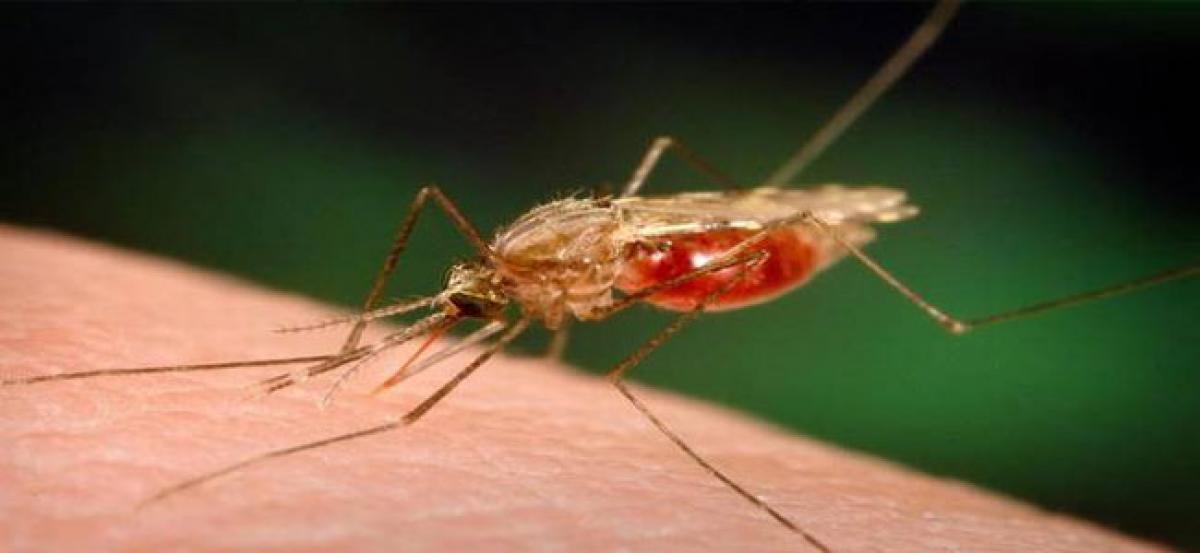 Mosquitoes can rapidly learn and recall Hosts’ smells, swats