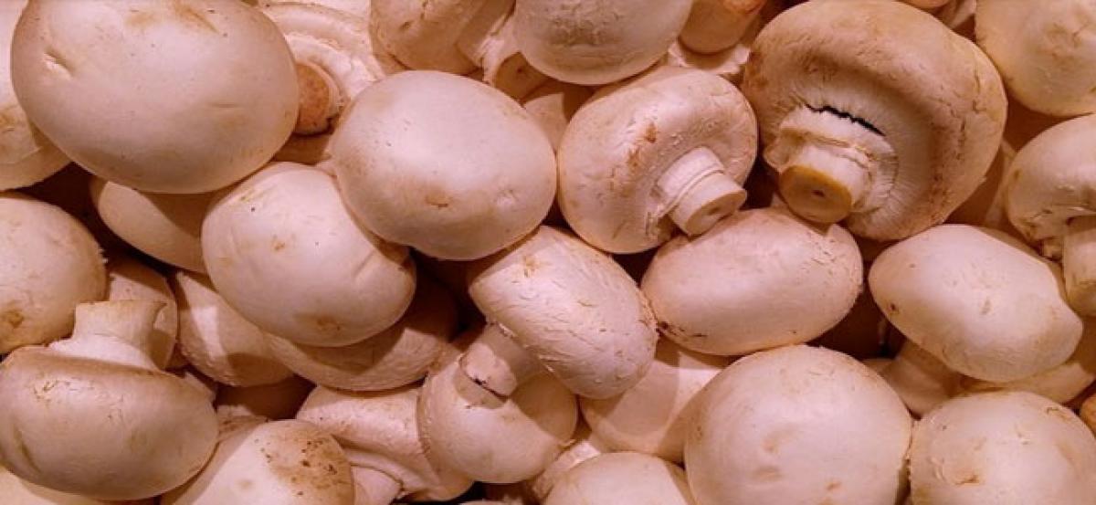 Did you know mushrooms may have anti aging potential?