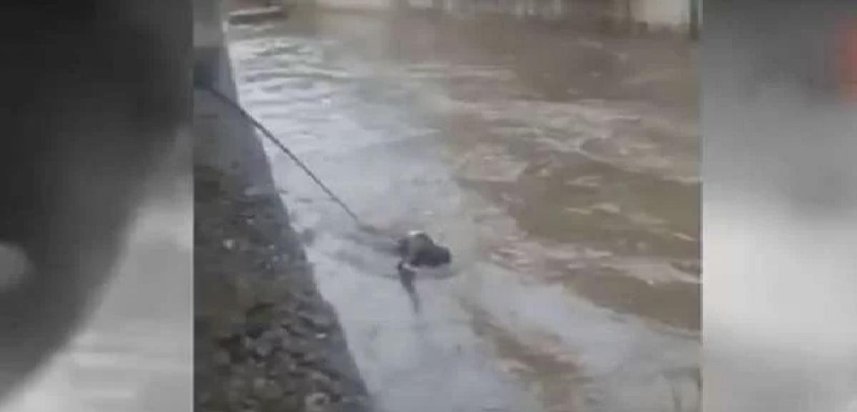 Man rescued after accidentally falling into surging nala