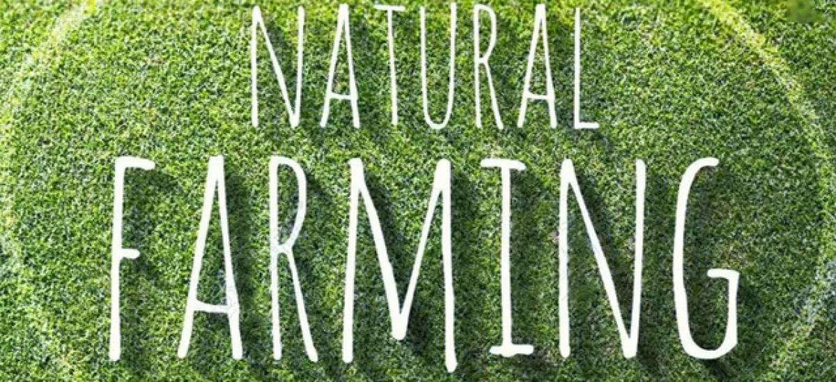 Techie-turned farmer promotes natural farming