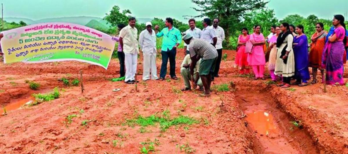 Farmers adopt nature farming in 66,000 hectares in state