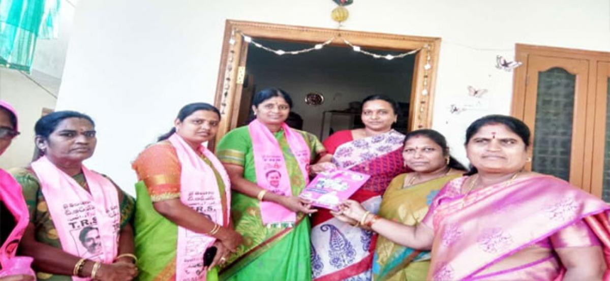 Poll campaign conducted for TRS