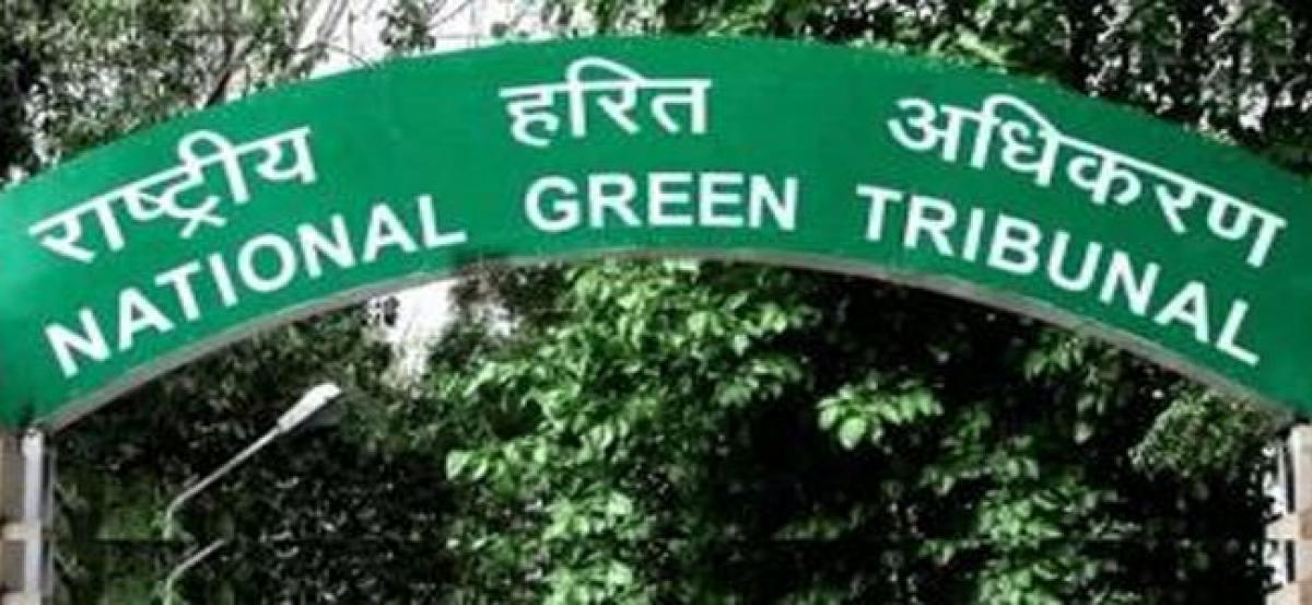 National Green Tribunal directs MoEF, AP to examine waste dumping