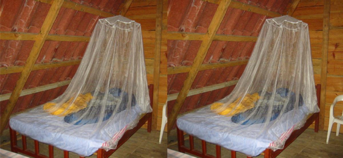 Superintendent of Police to launch mosquito nets distribution programme