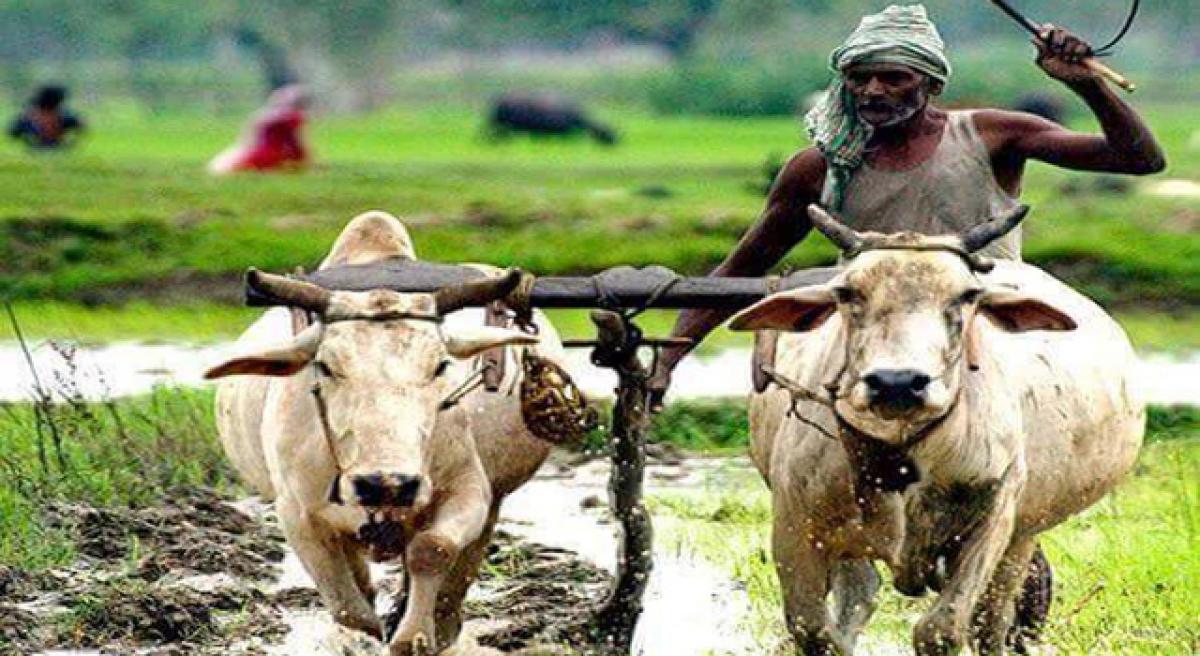 Telangana agriculture sector needs big push