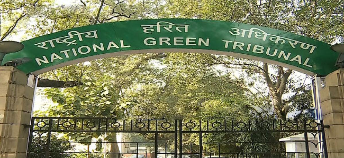 National Green Tribunal Chairman urged to deliver verdict