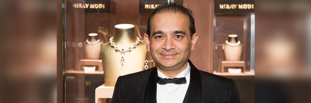 Debt Recovery Tribunal notices to Nirav Modi, family to recover Rs 7,000 cr