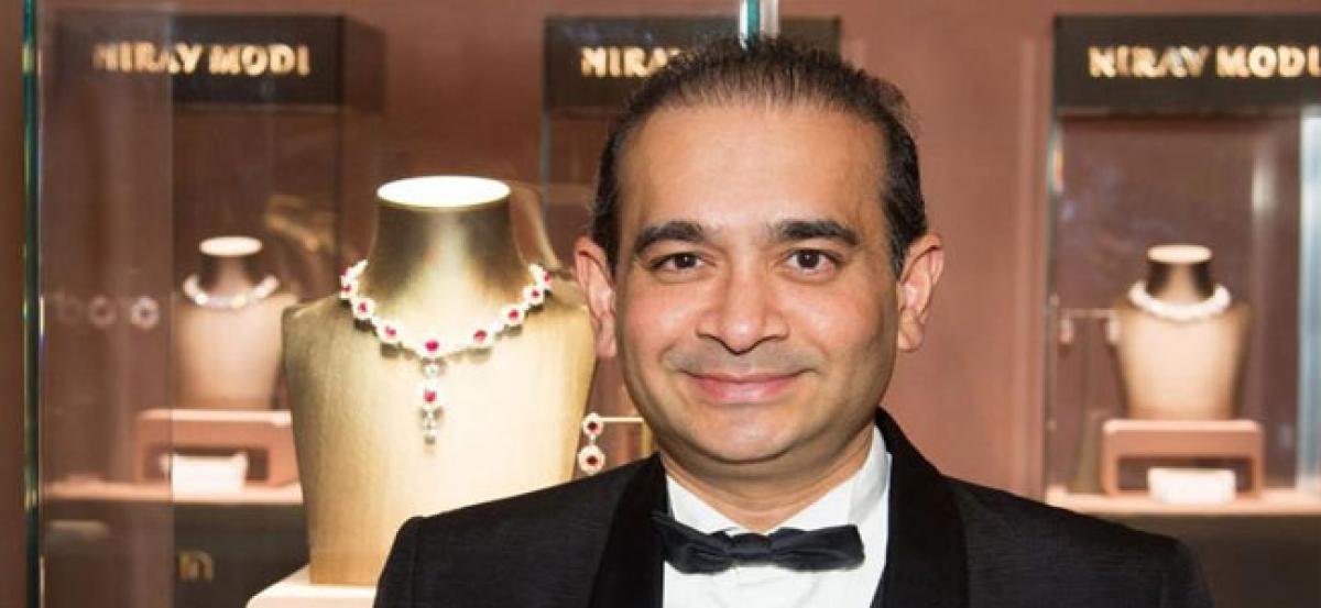 PNB identifies lenders over LoUs issued in Nirav Modi fraud case