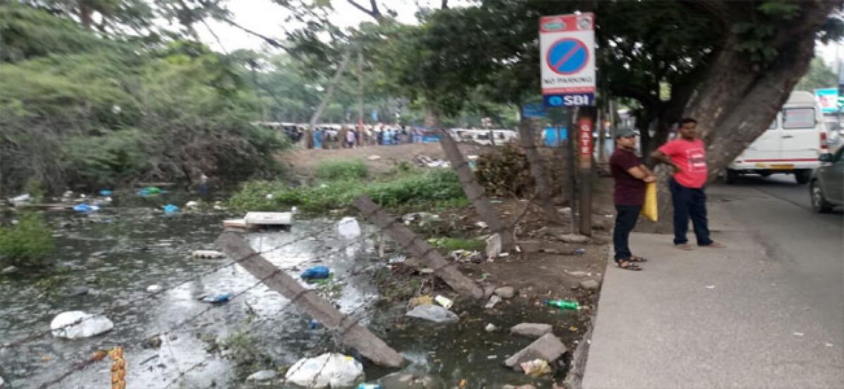 Open plot near Nanal Nagar bus stop hotspot for mosquito breeding