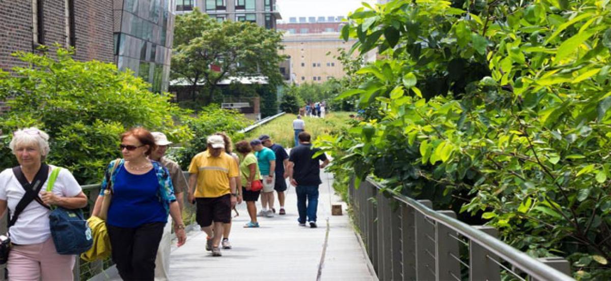 Cities around the world seek to emulate NYC’s elevated park