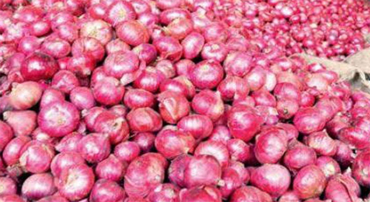 Drastic decline in onion cultivation in East Godavari