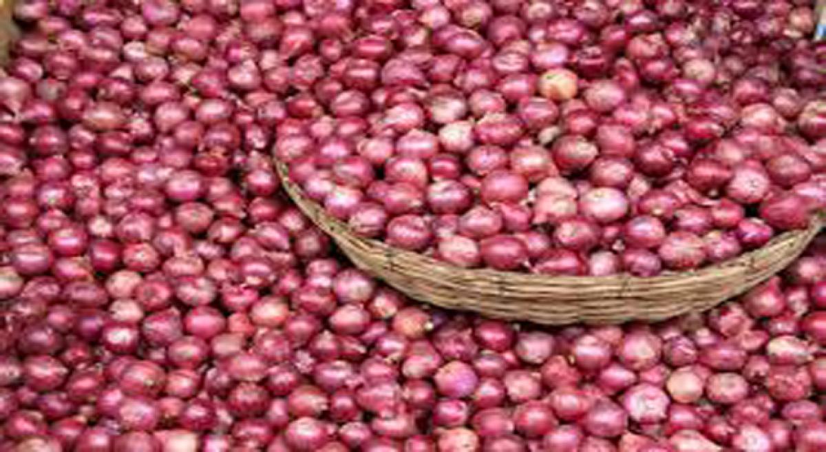 AP Govt plans to construct 58 new onion storage structures