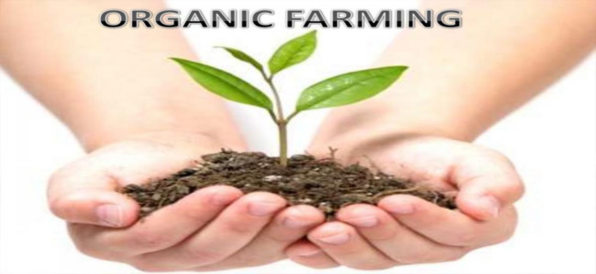 Organic farming gaining pace