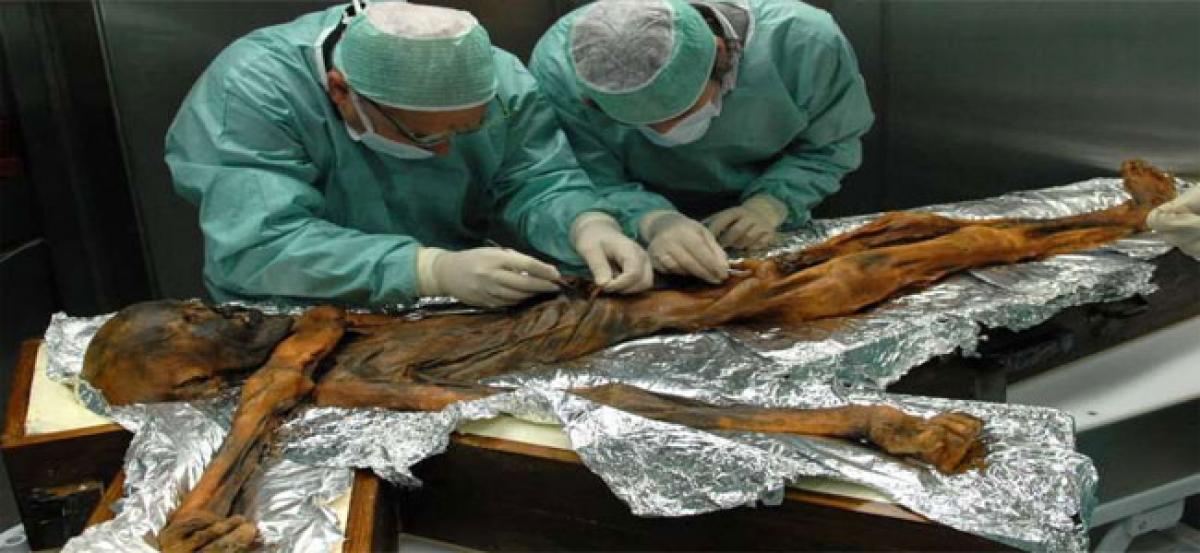 Otzi the Iceman’s last meal reveals remarkably high fat diet