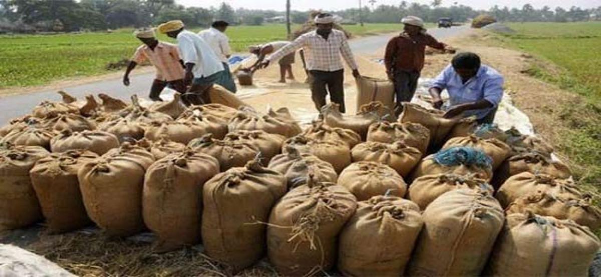 Purchase centres procure paddy worth Rs 11 cr