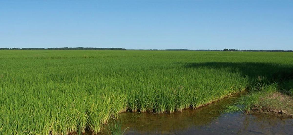 400 acres submerged due to drain closure